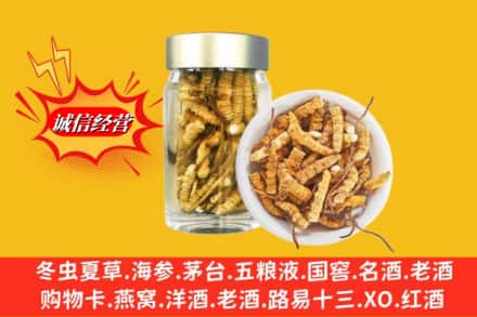 赤峰喀喇沁旗回收散虫草